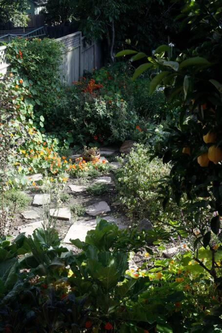 Beautiful, Historic Family Home Near Lake Merritt Oakland Eksteriør billede