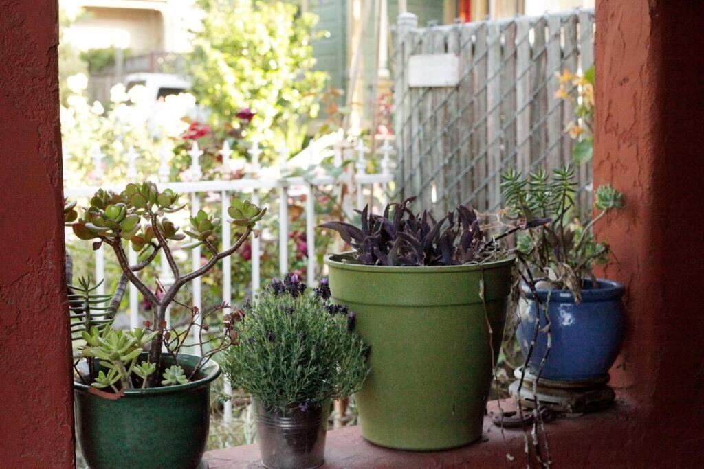 Beautiful, Historic Family Home Near Lake Merritt Oakland Eksteriør billede
